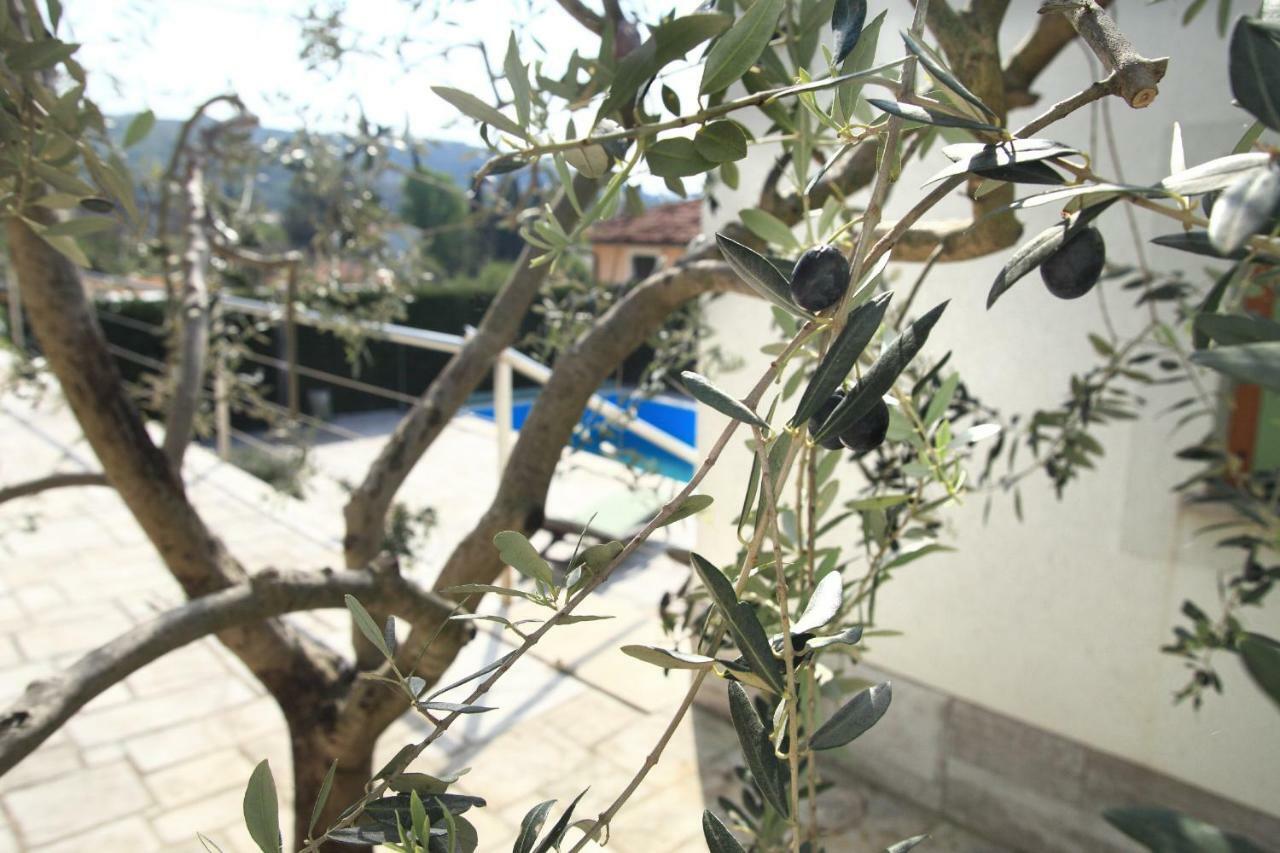 Spacious Villa In Parecag With A Swimming Pool Secovlje Bagian luar foto